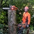 Kép 2/3 - Husqvarna 545 MARK II 15" láncfűrész 